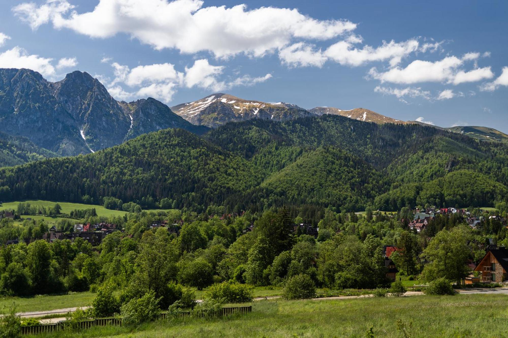 Ijg Imperial Apartamenty Szymaszkowa Zakopane Dış mekan fotoğraf